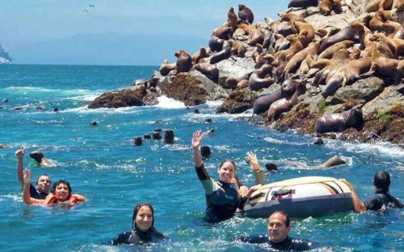 Tour Similares - Palomino (ica)