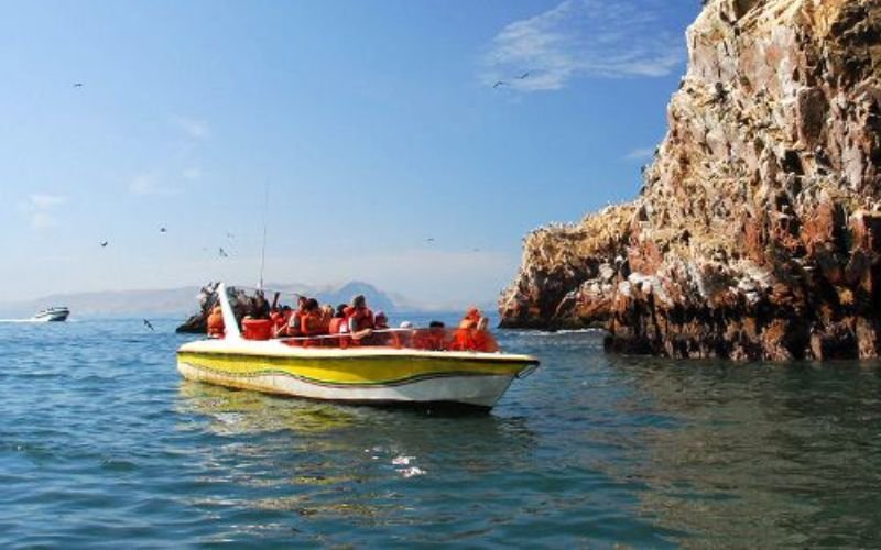 Tour paracas - Pág. Ica.